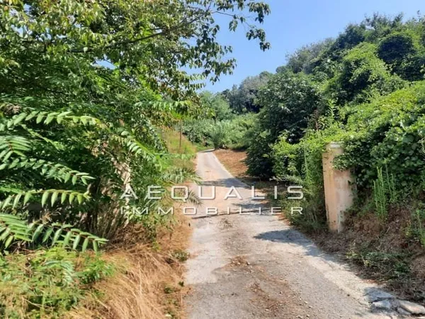 Terrain 7000 m²
