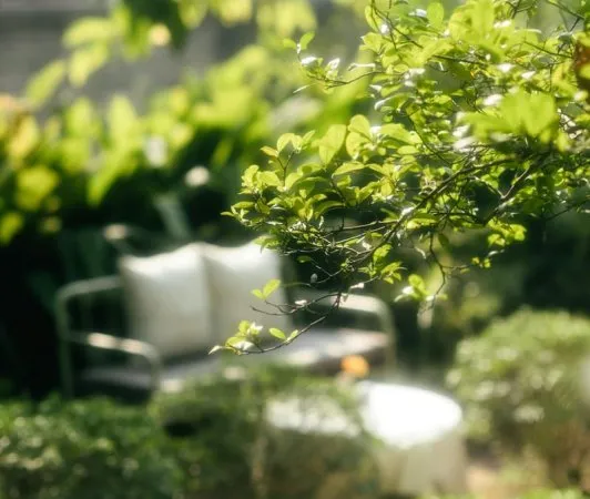 T2 48 m2 avec Jardin et Terrasse Beaumont 74160