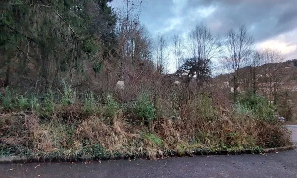 Terrain 993 m²