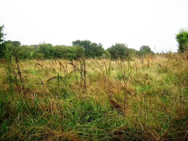 Terrain à bâtir
