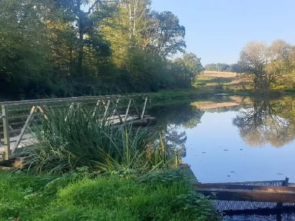 Plan d'eau Vente Saint-Léonard-de-Noblat  20000m² 44000€