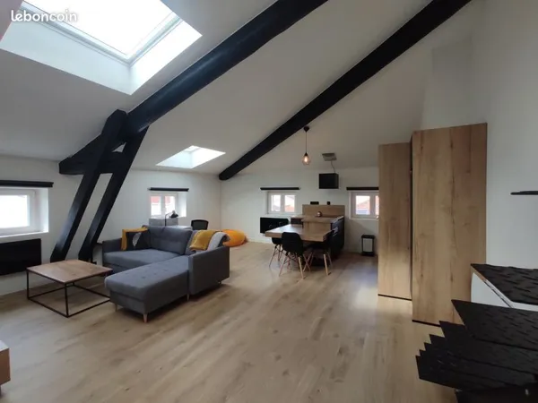 Appartement style loft 200 m Place Stanislas