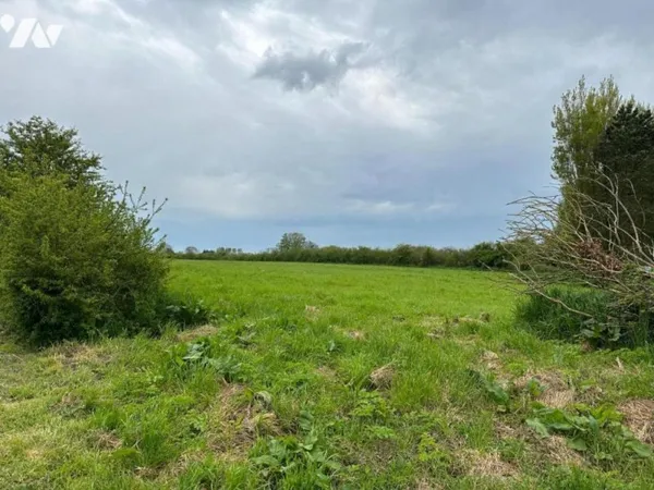 Terrain 974 m²