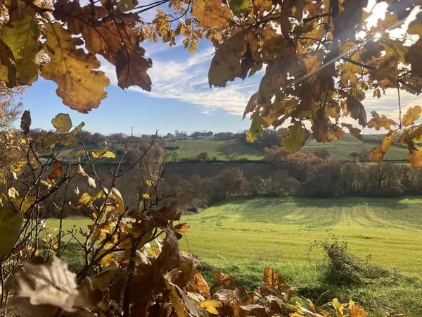 Terrain à bâtir Vente L'Isle-Jourdain  2000m² 90000€