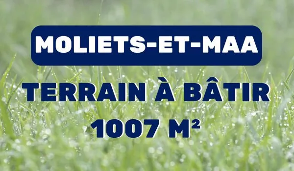Terrain 1007 m²