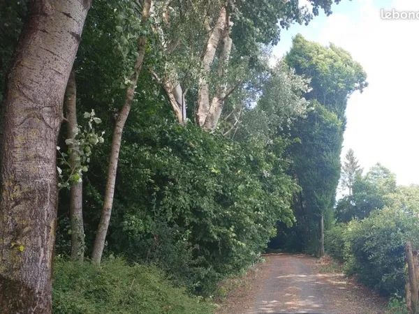 Terrain constructible viabilisé 1839m2 Sailly Lez Lannoy