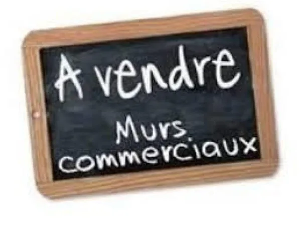 Immeuble commercial 5 pièces 400 m²