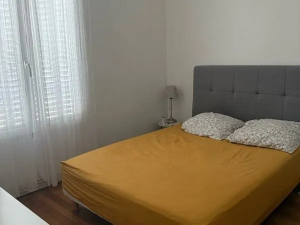 Appartement Location Montreuil 2p 57m² 920€