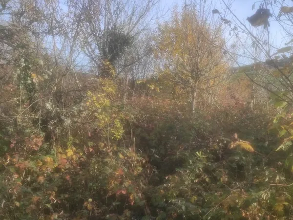 Terrain Courchaton