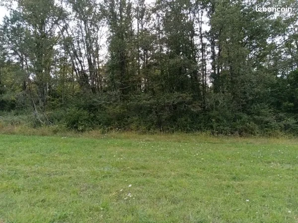 Terrain 4,3 hectares (Prairies et Bois) - Javerlhac (24)
