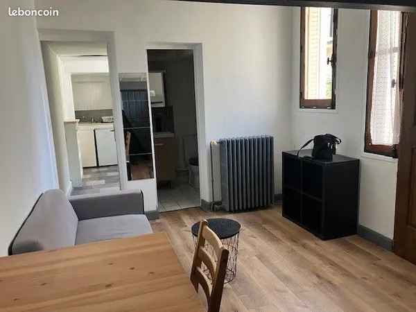 T1 meublé, très calme et lumineux, en plein centre ville