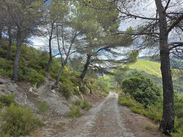 L'ESCARENE - TERRAIN DE LOISIRS 11 440m2