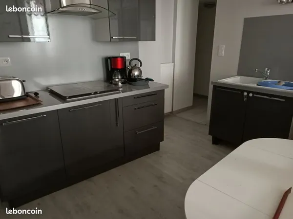 Appartement T2 meublé - 60m2 - entièrement rénové