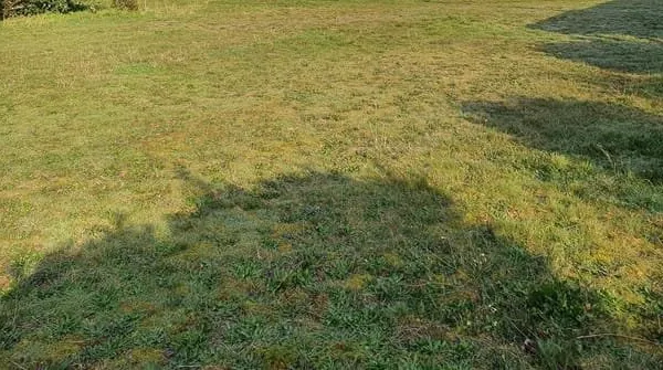 Terrain à bâtir Vente Brach  493m² 110000€