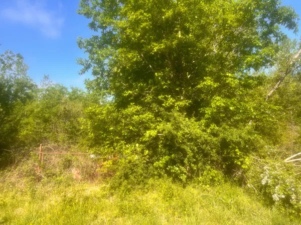 Terrains nature avec fort potentiel