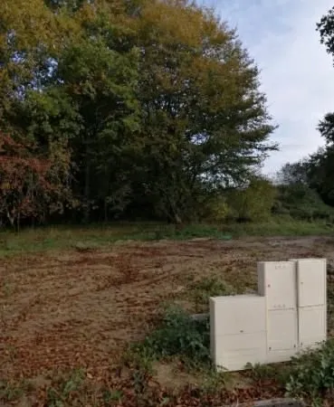 Terrain 530 m² Ambares Et Lagrave
