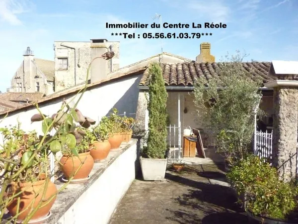 Bel immeuble de ville de 250 M2 avec terrasse et local comme