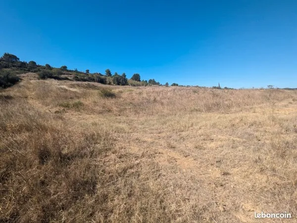 Terrain 2,3 hectares à louer