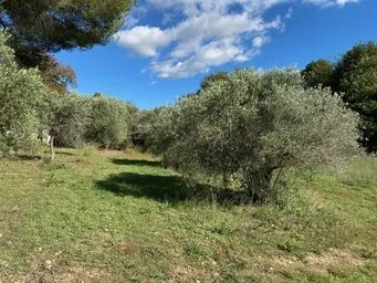 ?? Terrain de 350m² à Aubignan