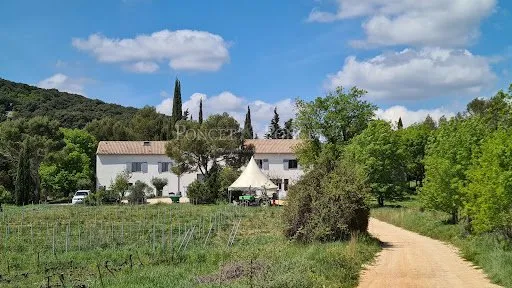 Vignoble 680000 m²
