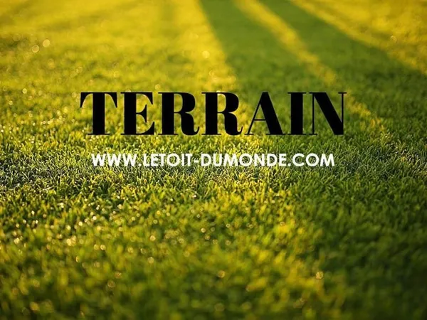 Joli terrain plat de 9500 m²