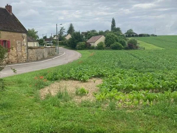 Terrain à bâtir Vente Voisines  820m² 26700€