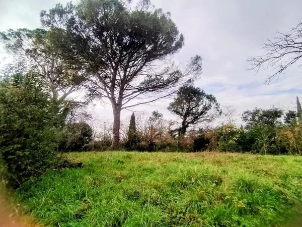 Terrain 600 m²