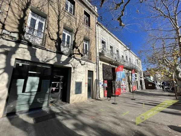 Local 241 m²