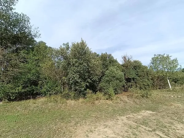 Terrain boisé 1083 m²