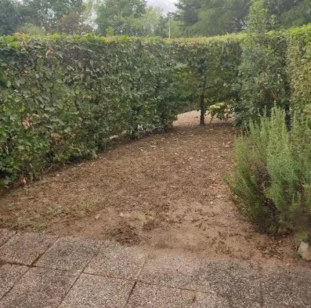 Appartement 2 pièces 33 m²