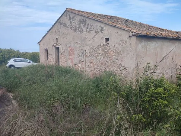 Maison 60m2 + 6500m2 terrain avec arbres oranges