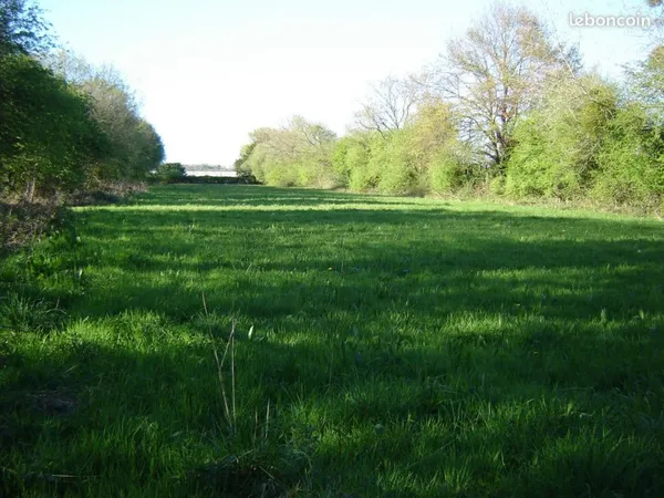 Terrain 4680 m2 idéal loisir