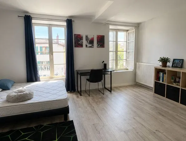 A louer à ISSOIRE (63500), centre-ville : appartement de 38 m²