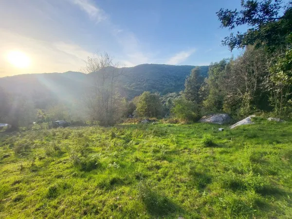 TERRAIN CONSTRUCTIBLE 1500m2 - FORCIOLO