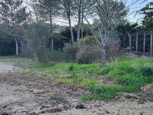 Terrain constructible