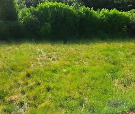 Terrain 200 m² Guipavas
