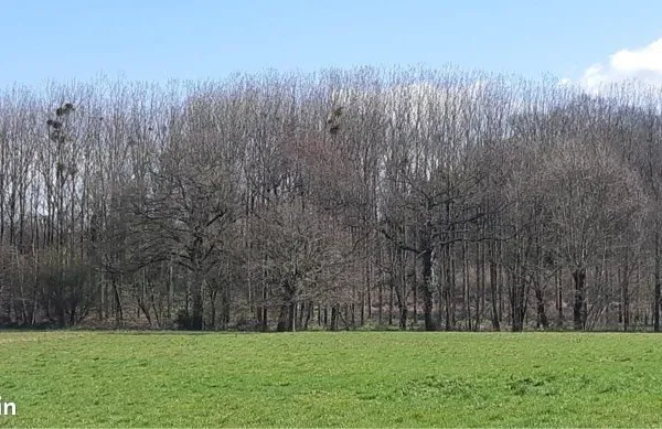 Terrain 18756 m² Pancé