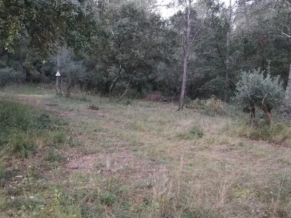 Terrain de loisir