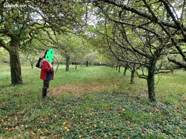 Verger BIO pommes à cidre 7000m2