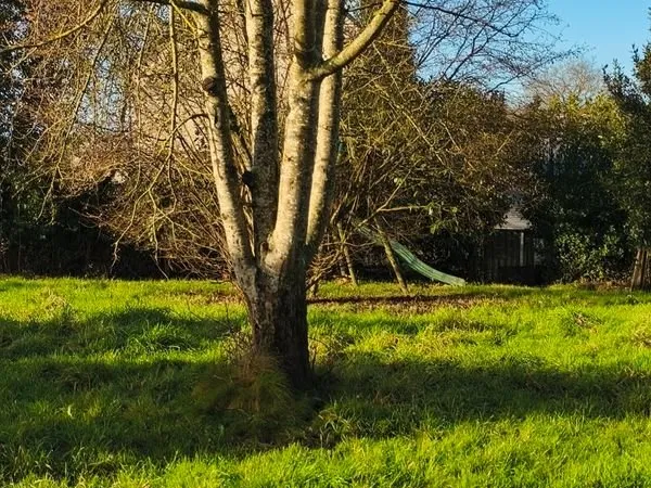 Terrain constructible 714 m2