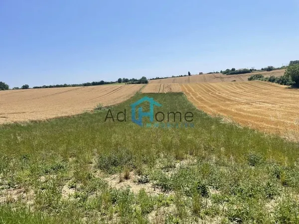 Terrain 1727 m²