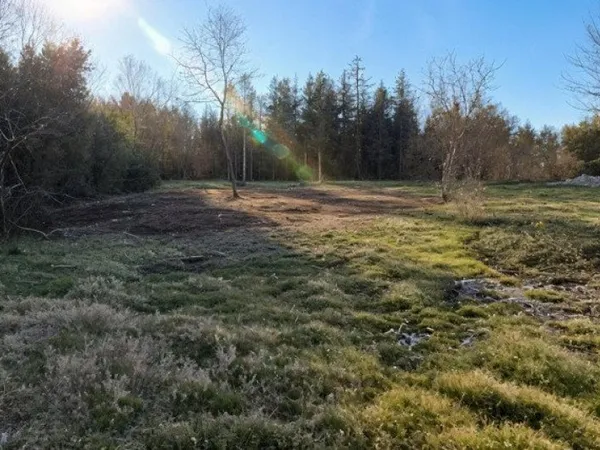 Terrain à villematier