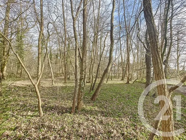 Terrain 1249 m²