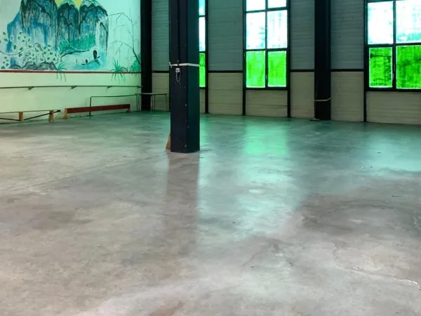 Local professionnel 350 m²