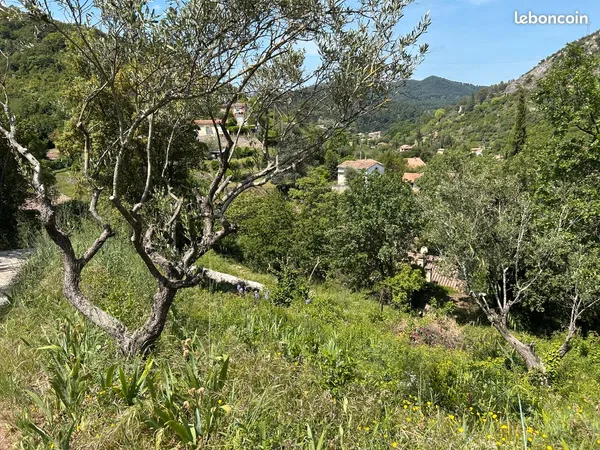 Terrain Alès