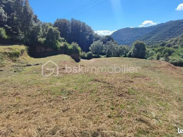Terrain 2 000 m² Olivese