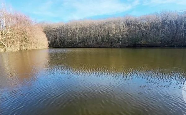 Terrain 3000 m²