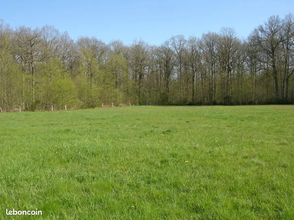 Terrain agricole / herbage / pré - idéal chevaux - 7 398 m²