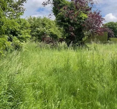 Terrain 722 m²