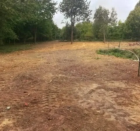 Terrain 1650 m²